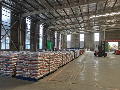 Ydych chi'n ymgynghori i'r ymgynghori sy'n ymgynghori â'r ymgynghori blue ear disease?