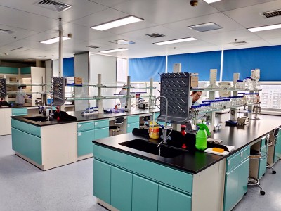 Sut i'w canolbwyntio'r arddull gastrointestinal o'r swine?